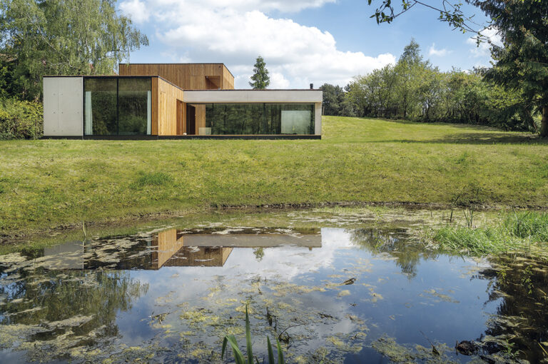 Ukryty w miejskiej dżungli