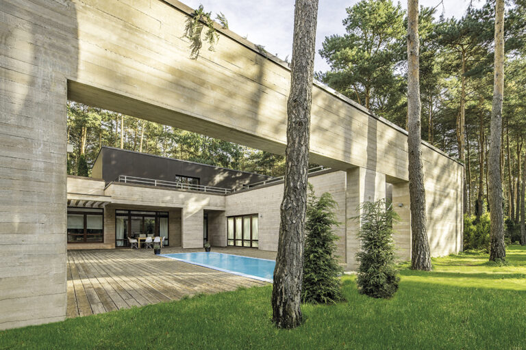 The Concrete wśród drzew