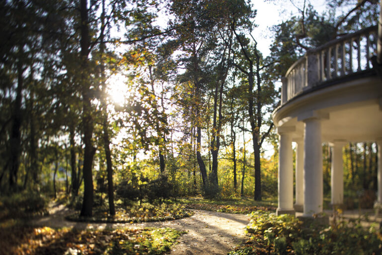 Dwie twarze marszałka