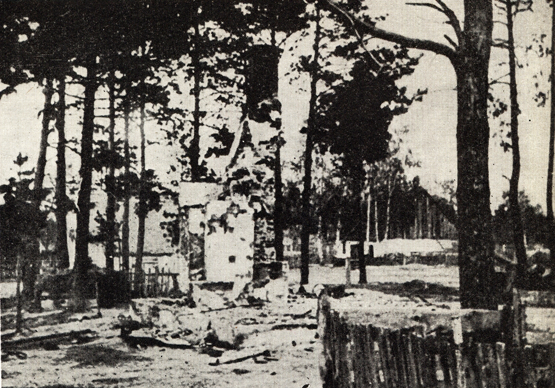 Ruiny wsi Michniów po pacyfikacji, źródło: Wikipedia